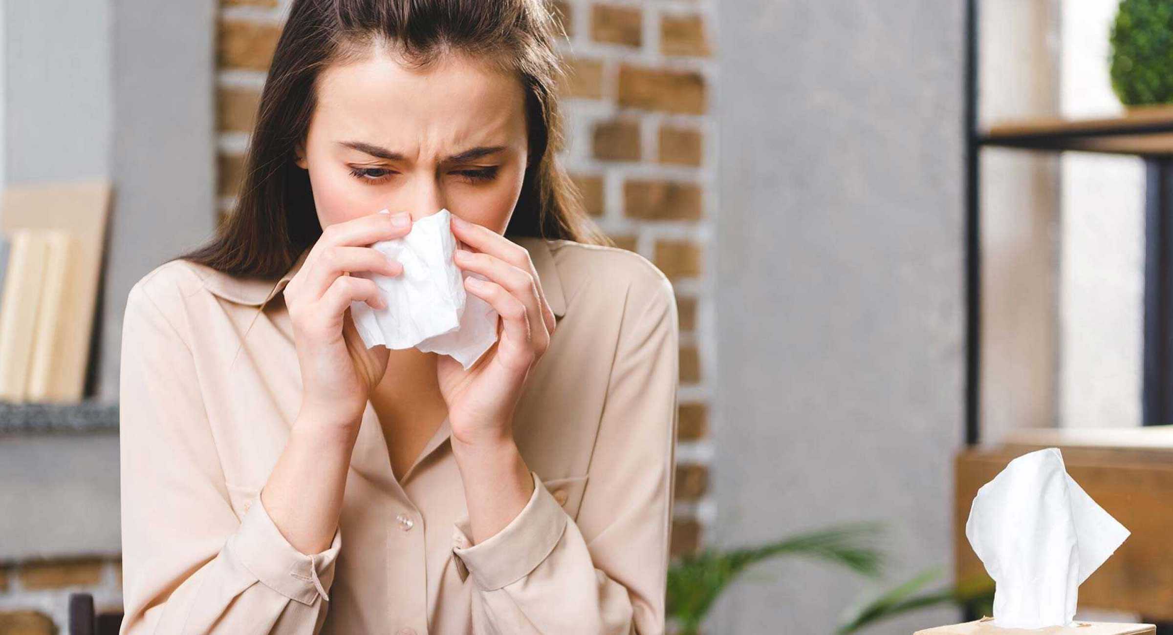 Аллергия на пыль: что делать, и кто виноват?
